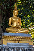 Luang Prabang, Laos. Wat Aham, banyan trees in the temple grounds believed to house the guardian spirits of the city. 